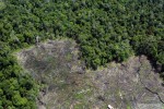 aerial documentation of Tanjumg National Park degradation